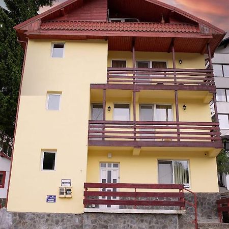 Vila Luna Predeal Ngoại thất bức ảnh