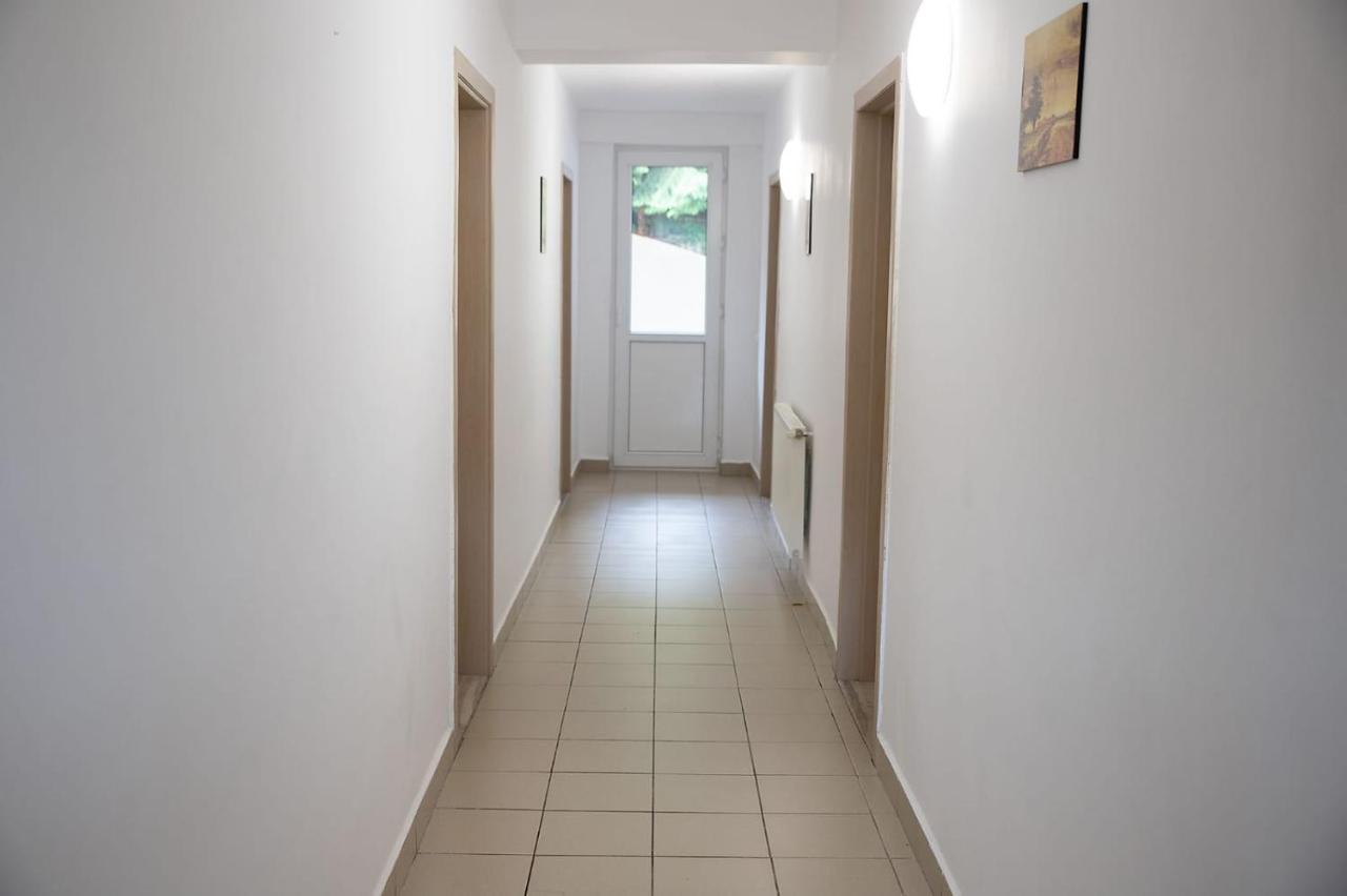 Vila Luna Predeal Ngoại thất bức ảnh